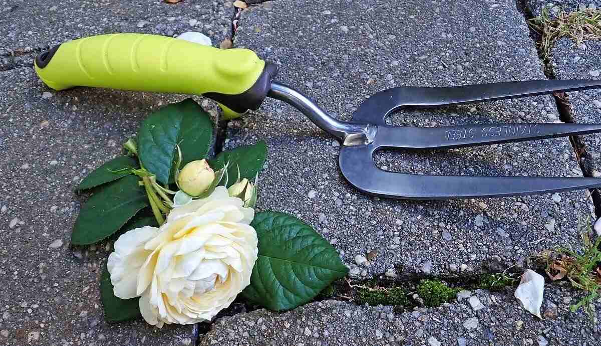 hand fork for gardening