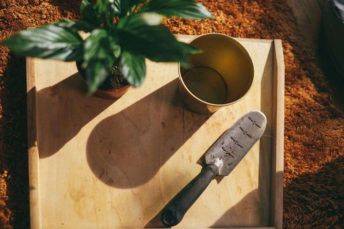 hand trowel for garden