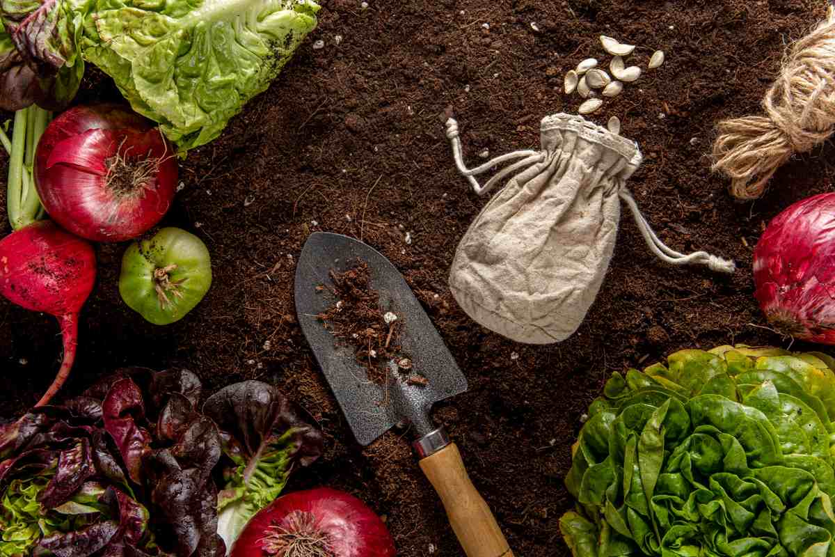 importance of kitchen gardening