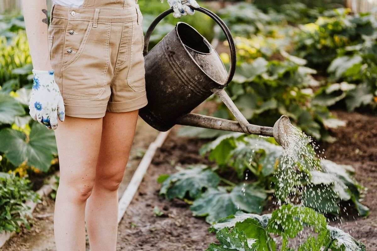 watering can for garden