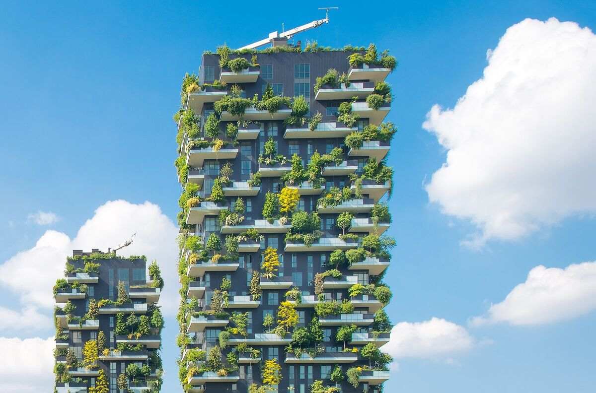 Benefits of vertical gardening