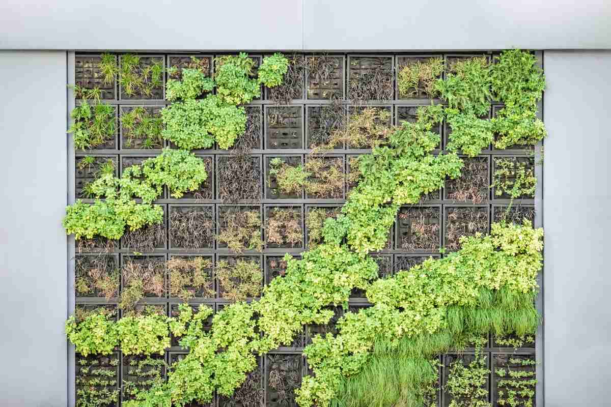 Maintenance of an indoor vertical garden