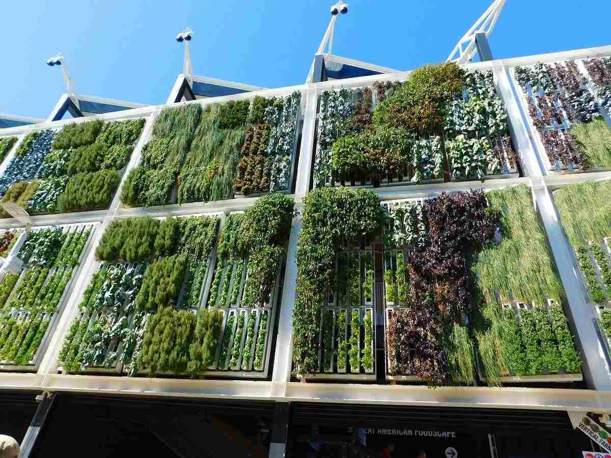 vertical garden plants