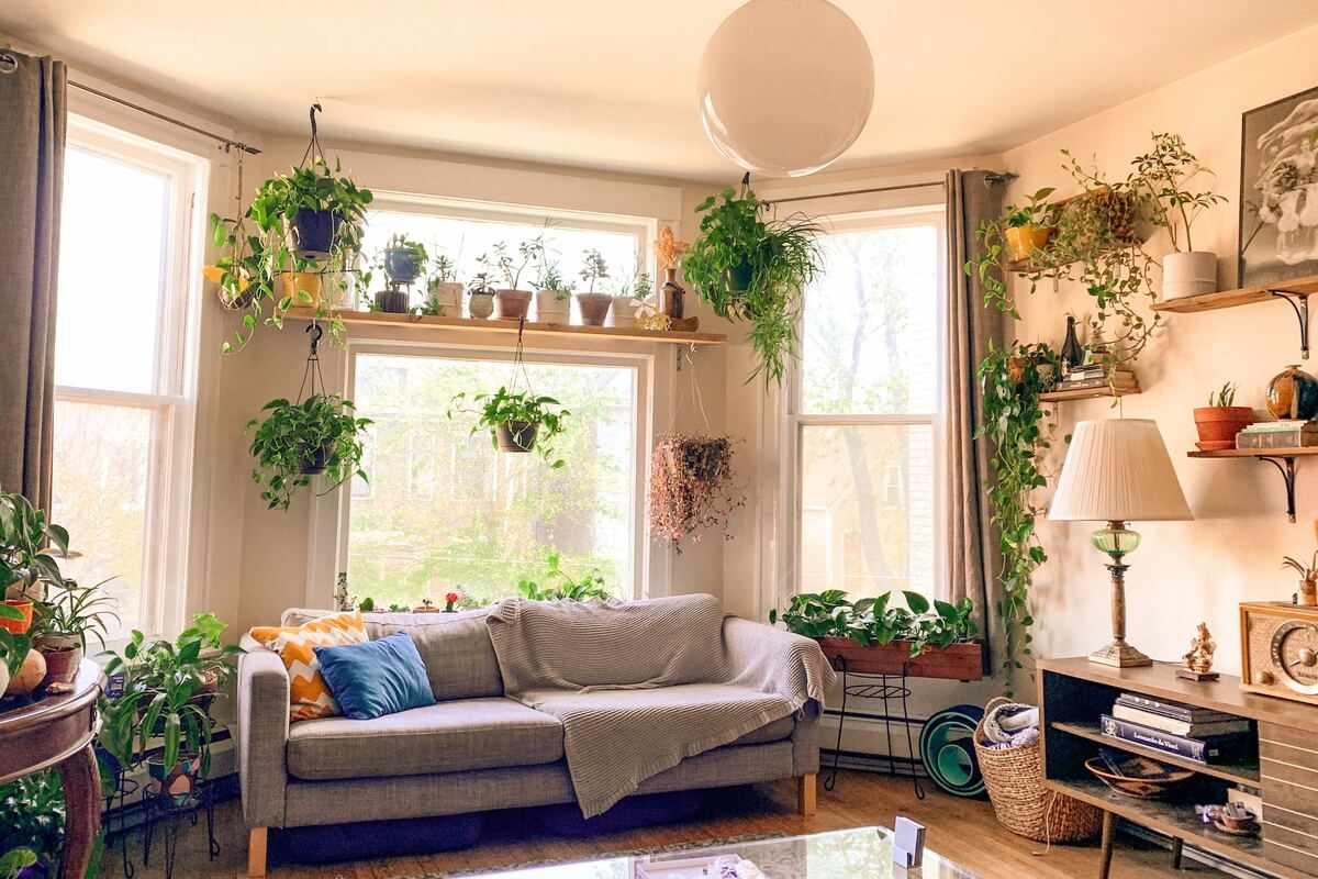 indoor oxygen plants