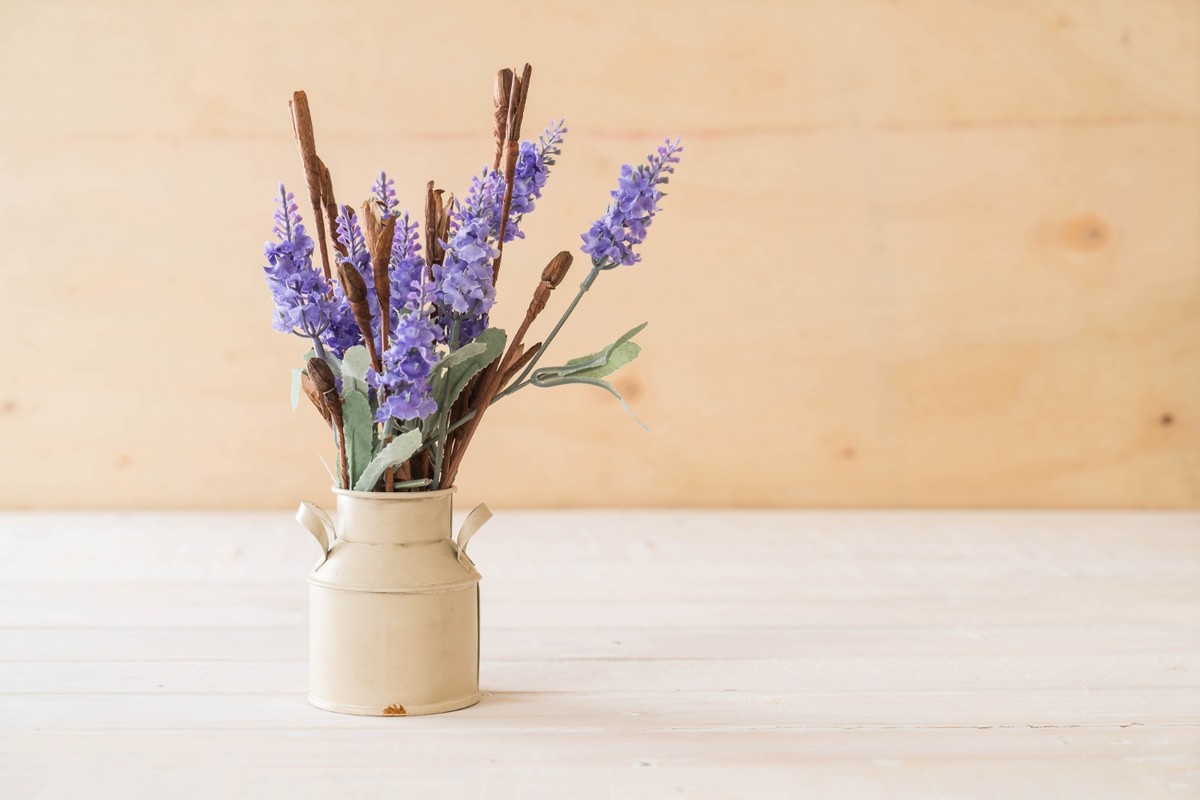 Lavender indoor plant