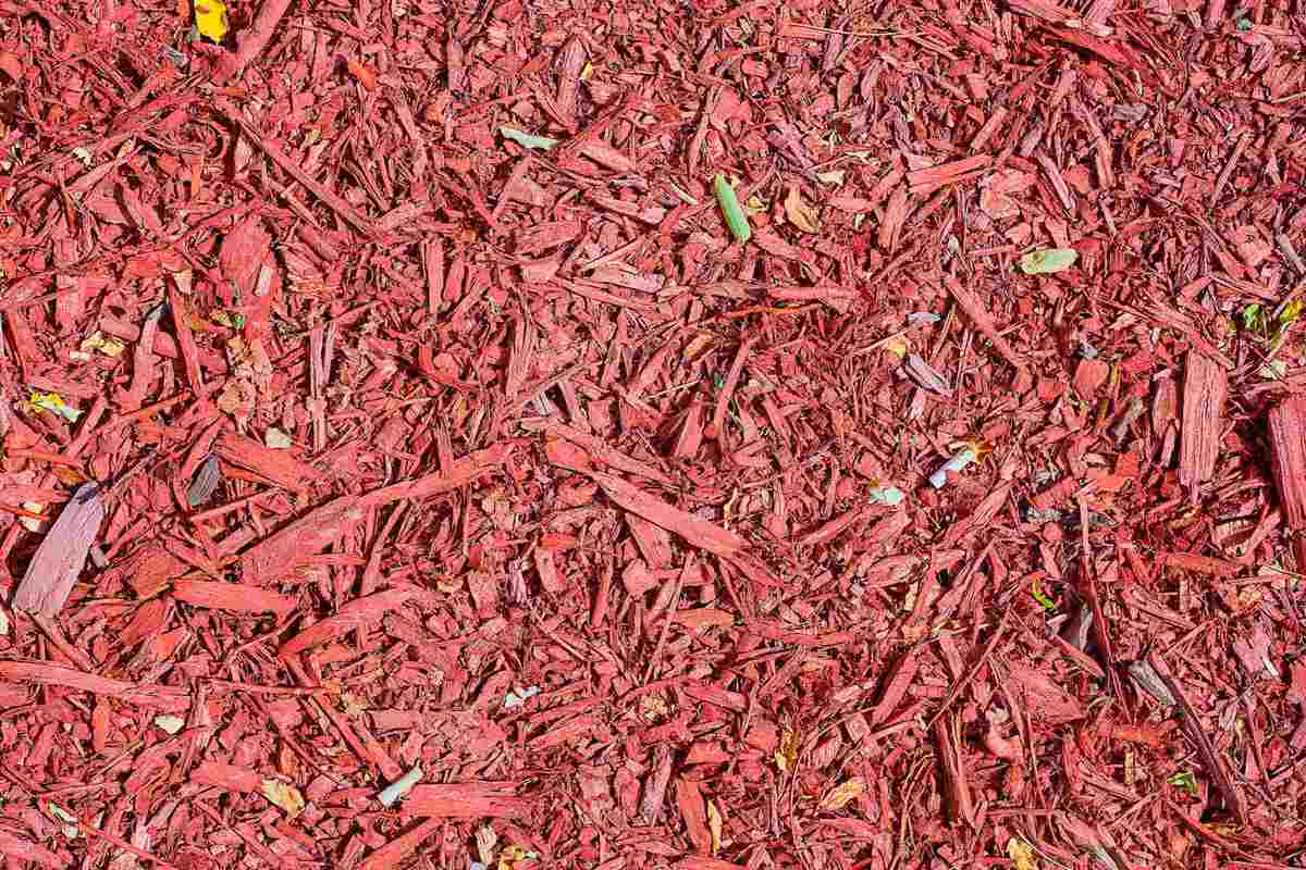 Types of Mulching in Agriculture