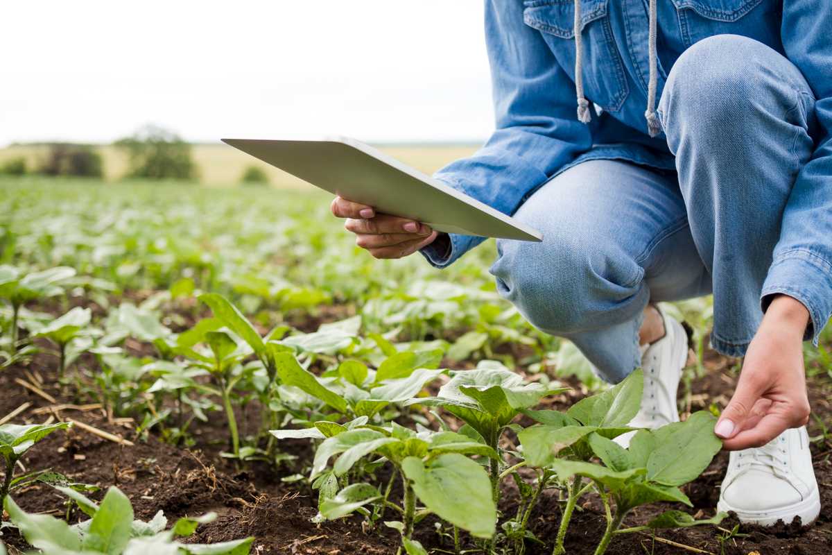 Advantages of Remote Sensing in Agriculture