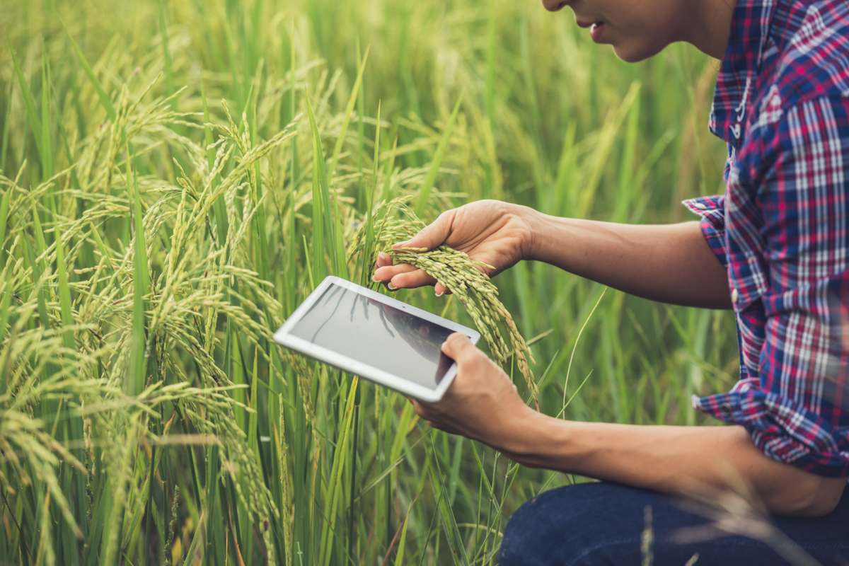 Benefits of Digital Agriculture