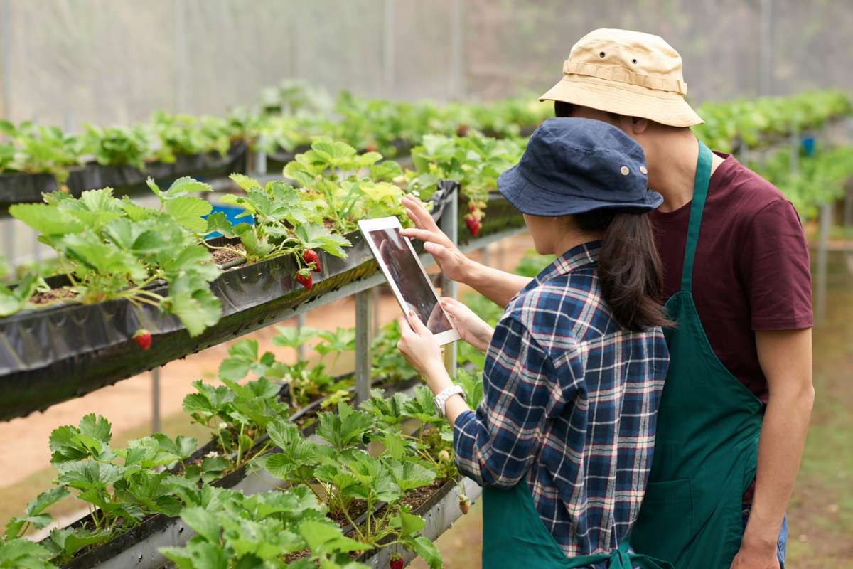 Challenges of Digital Agriculture