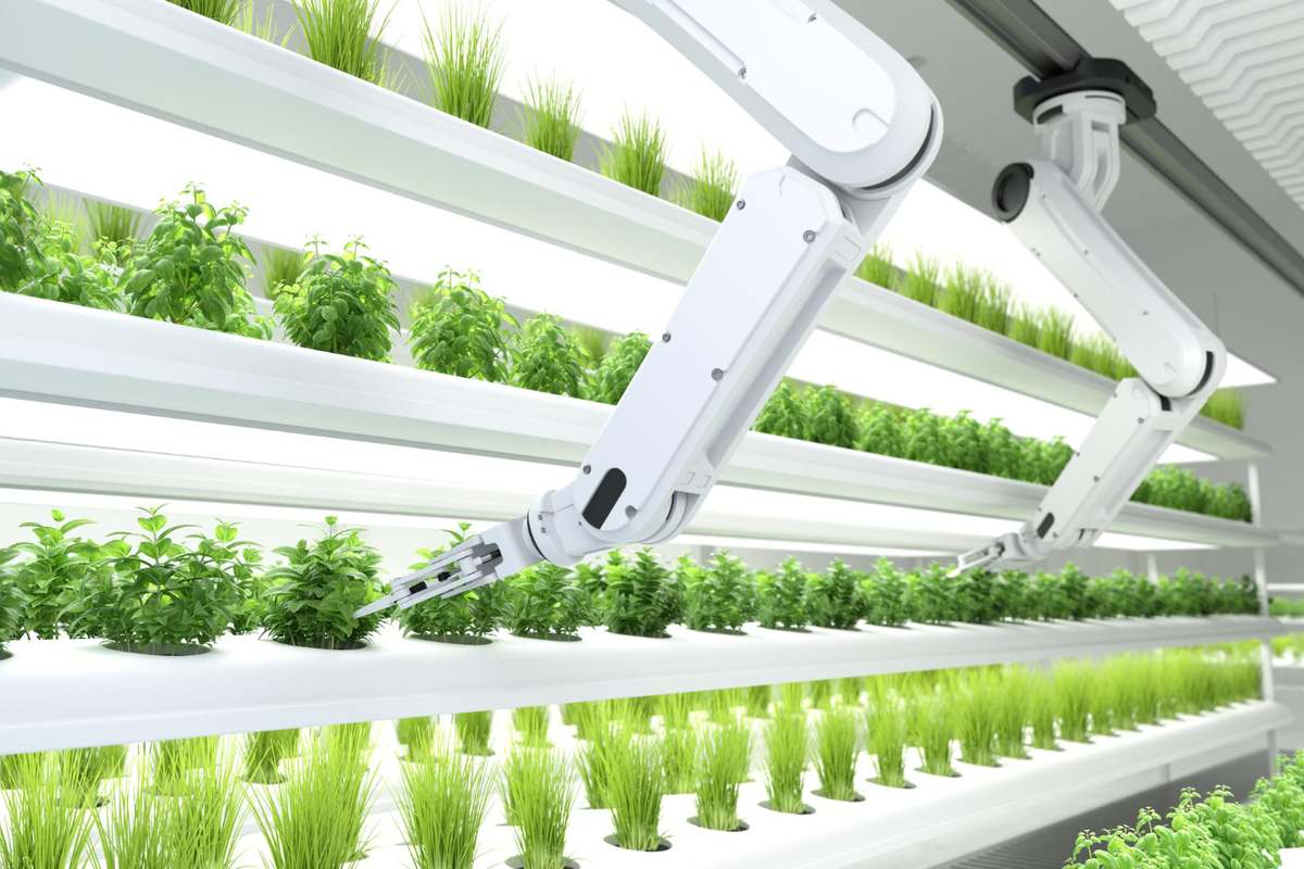 Role of Artificial Intelligence in Agriculture