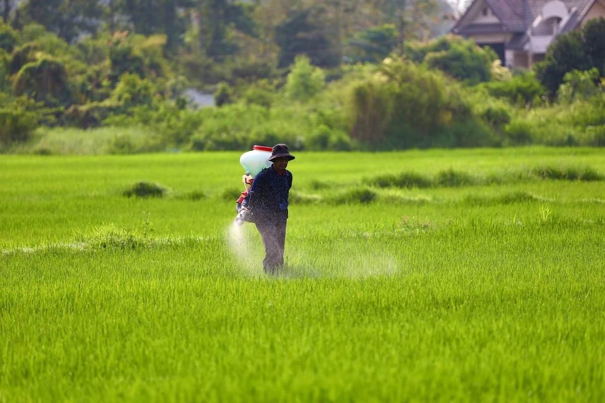 Most Common Fertilizers Used in Agriculture
