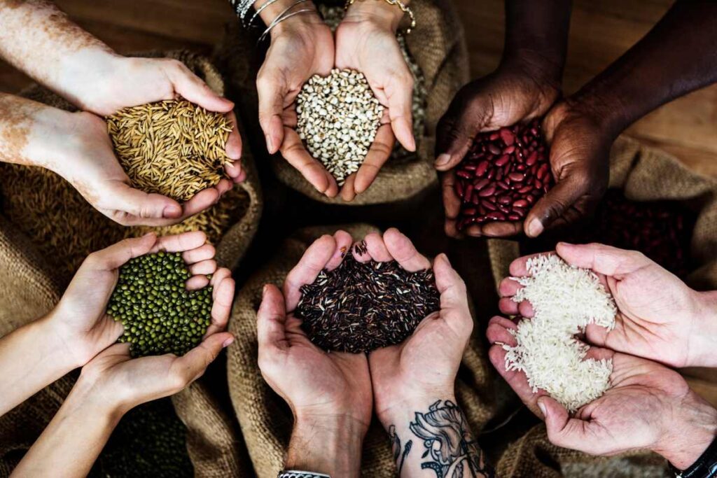 Seed Quality Characters