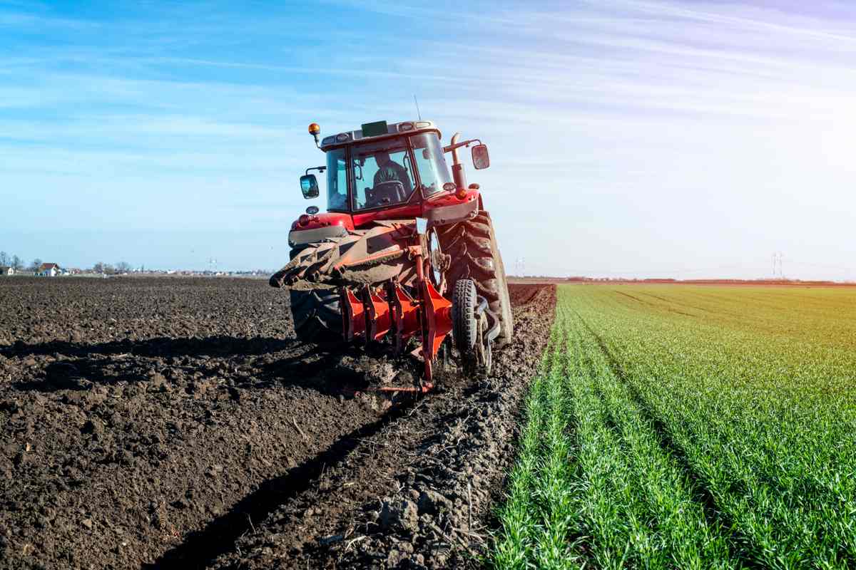 5 Steps in Land Preparation in Agriculture