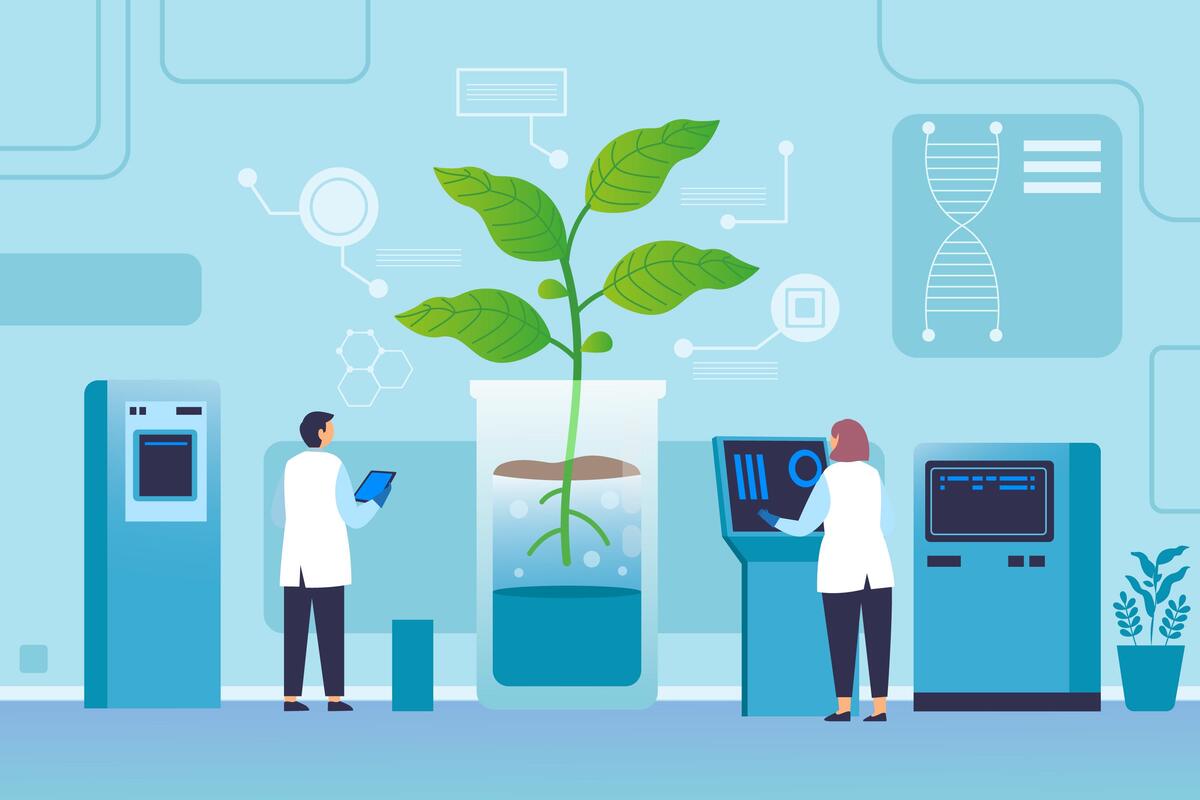 Application of Blockchain Technology in Agriculture