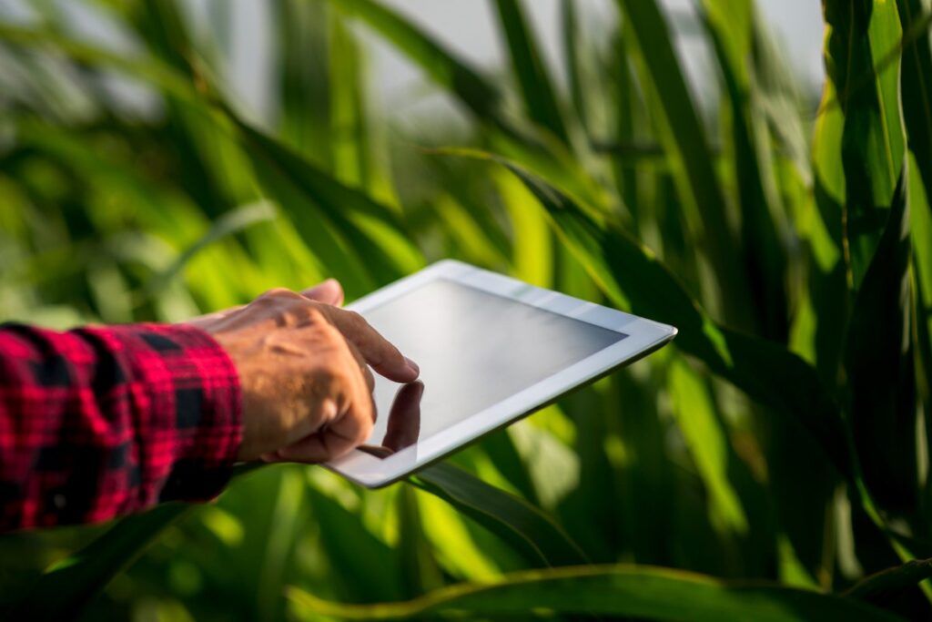 Disadvantages of Artificial Intelligence in Agriculture