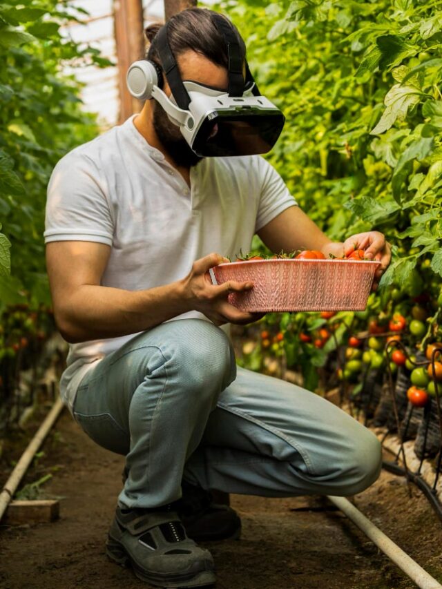 Uses of Artificial Intelligence in Agriculture