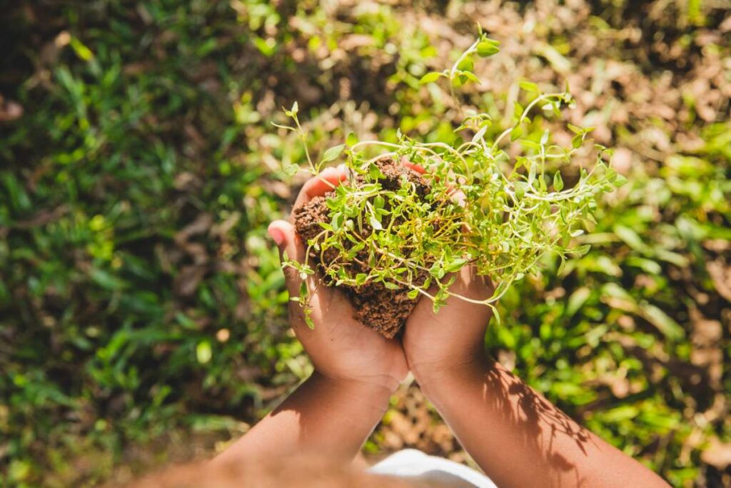 Advantages of Weeds in Agriculture