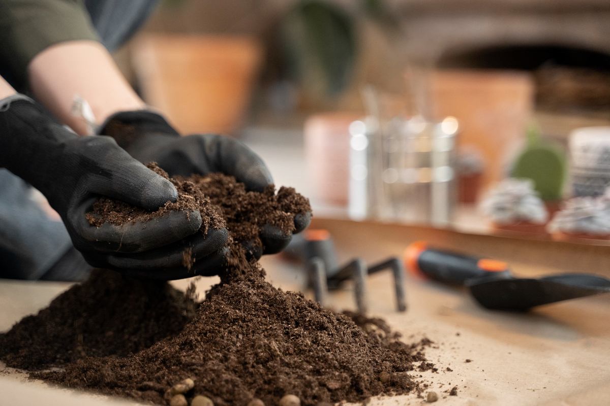 importance-of-soil-testing-in-agriculture-types-of-soil-testing-methods