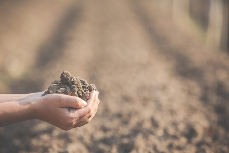 Importance Of Soil Testing In Agriculture Types Of Soil Testing Methods importance-of-soil-testing-in-agriculture-types-of-soil-testing-methods