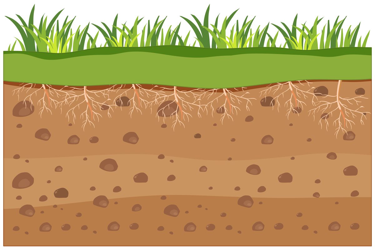advantages and disadvantages of green manure in agriculture