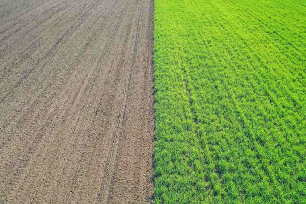 advantages of mixed cropping in agriculture