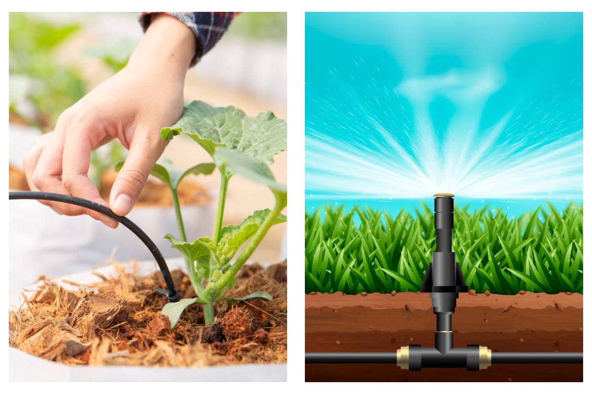 difference between drip irrigation and sprinkler irrigation