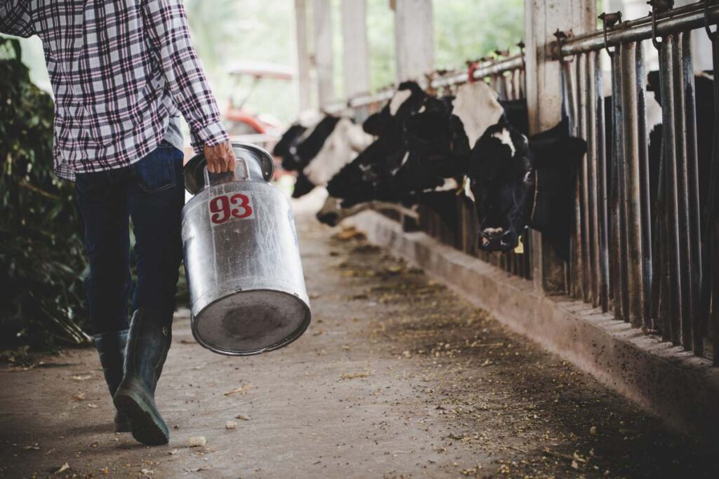 Dairy Farming