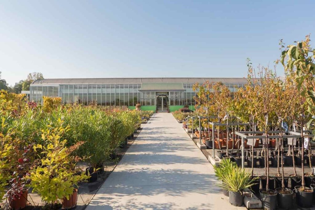 Plant Nursery Business