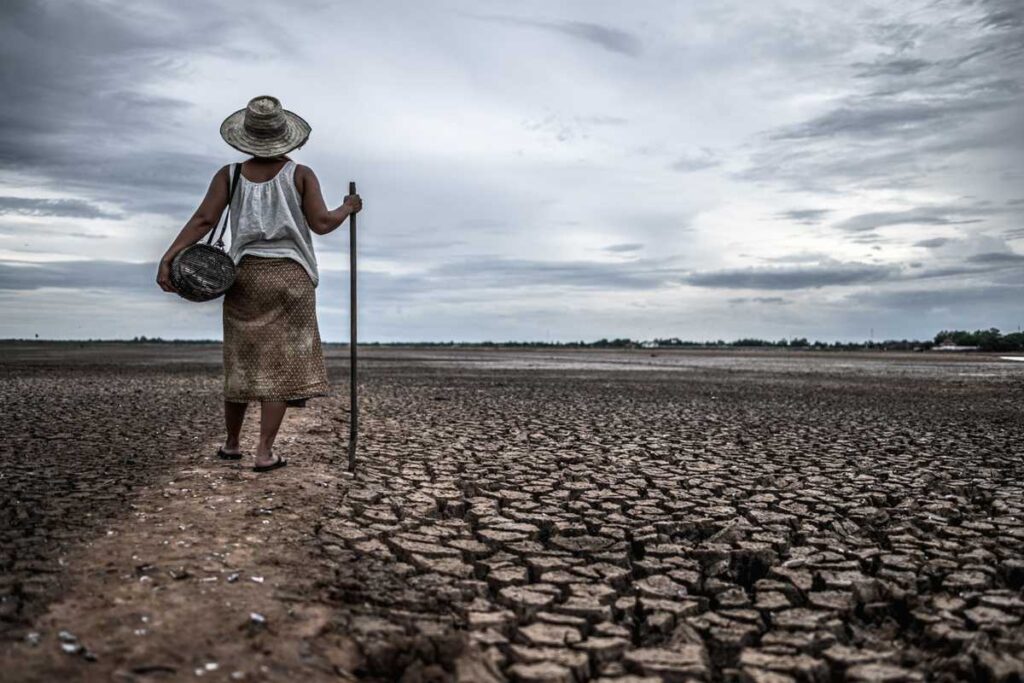 Rainfed Agriculture and Dryland Agriculture