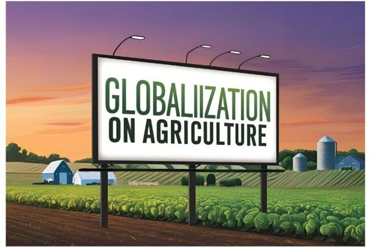 Negative Impact Of Globalization