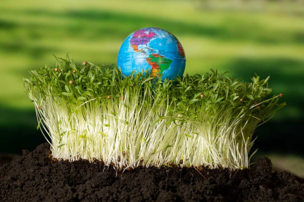 Positive and Negative Impact of Globalization on Agriculture