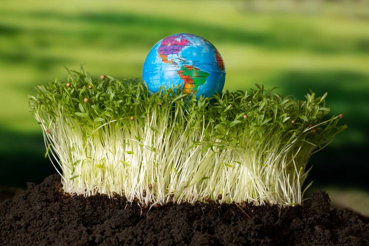 Positive and negative impact of globalization on agriculture