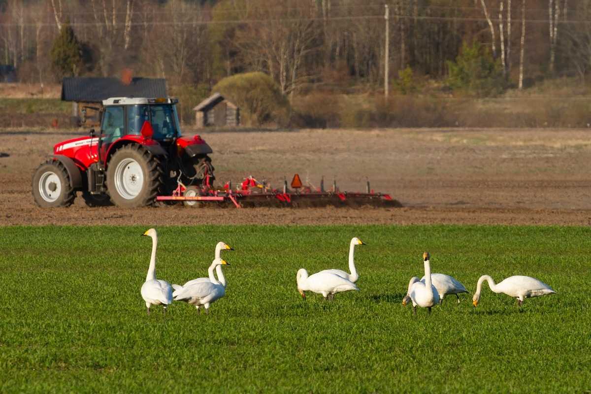 Tillage in Agriculture