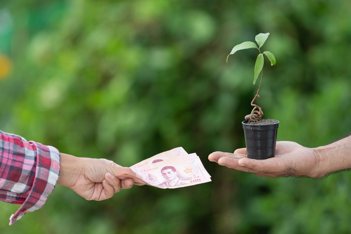 advantages and disadvantages of agricultural insurance