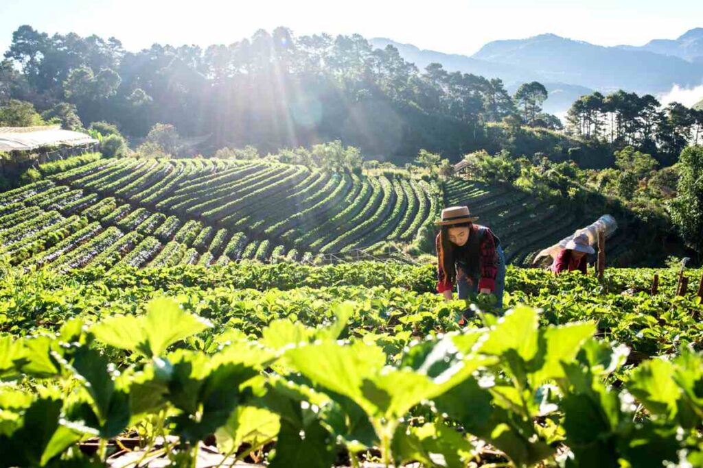 Agritourism Benefits