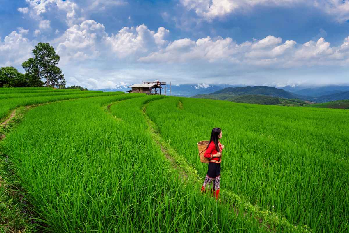 Agritourism Definition