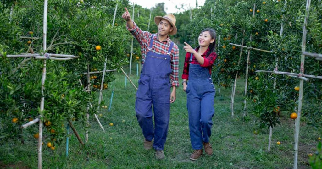Agritourism business