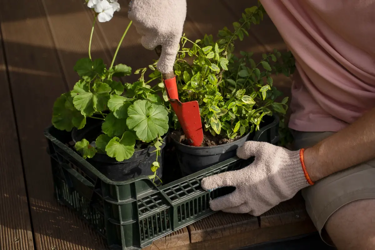 How to Prepare Soil for Planting Vegetables in Pots