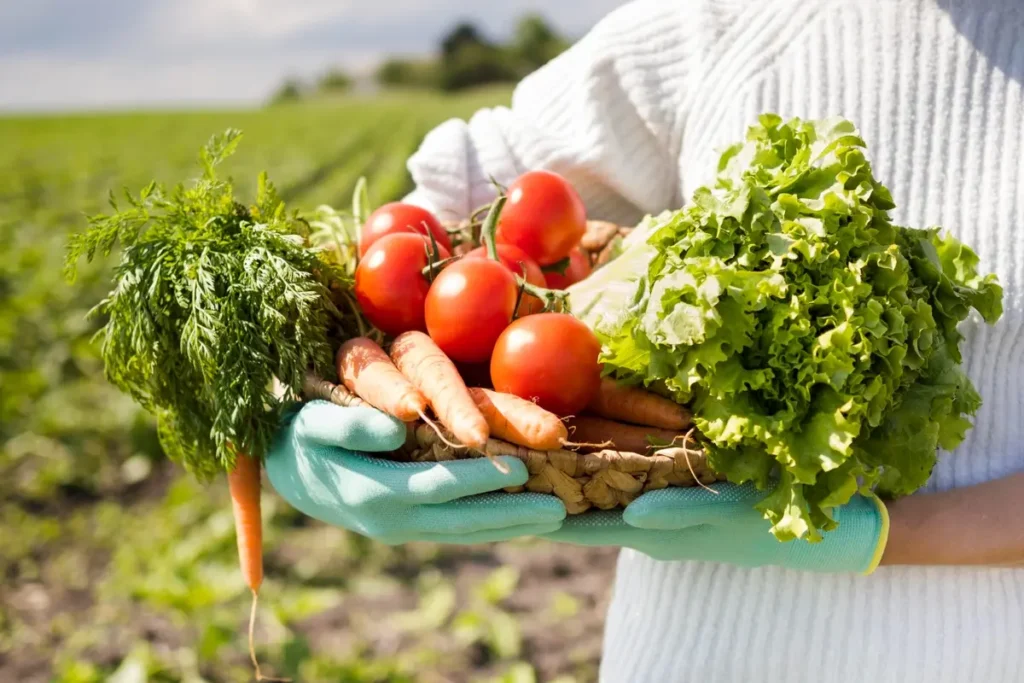 best kitchen garden vegetables