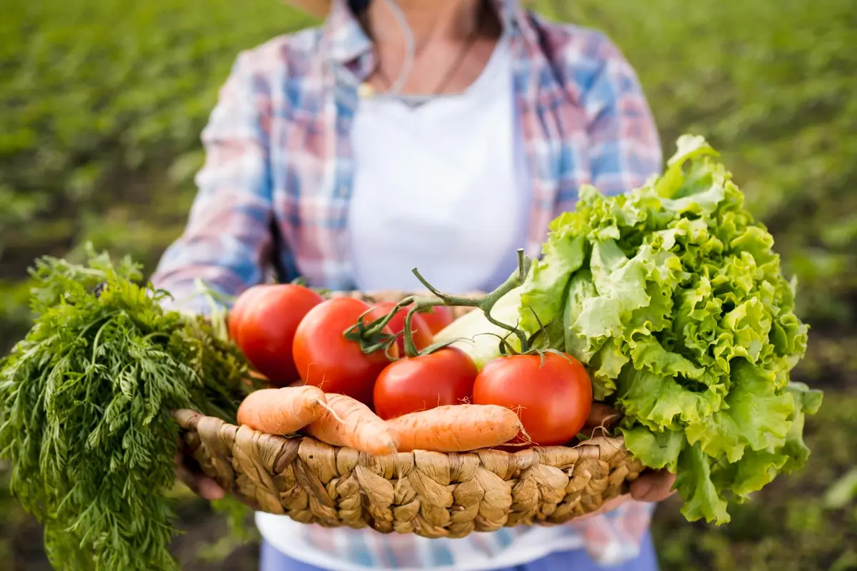 Easy vegetables to grow all year round