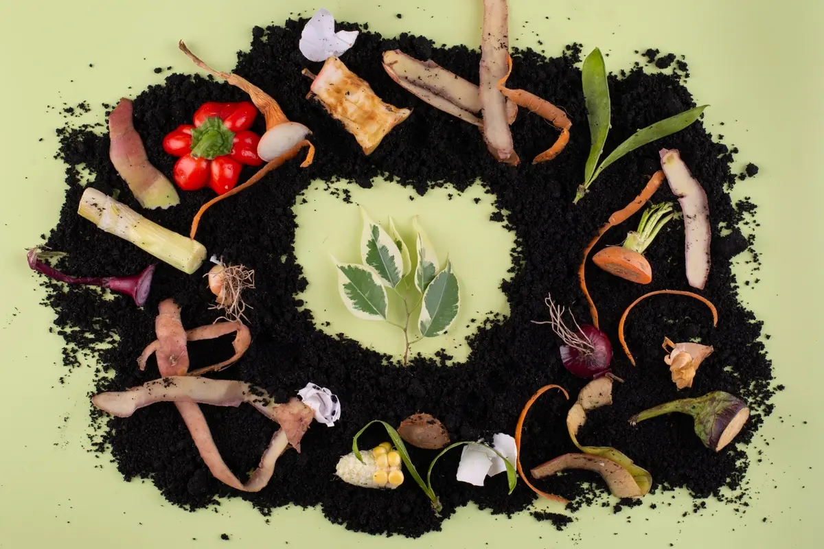 How to Make Compost at Home Using Kitchen Waste for Plants