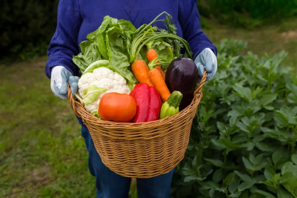 vegetables to grow all year round