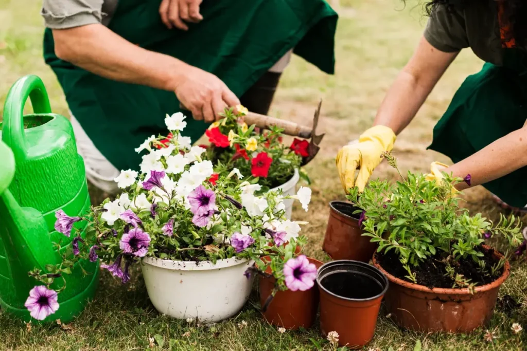 Benefits of Gardening
