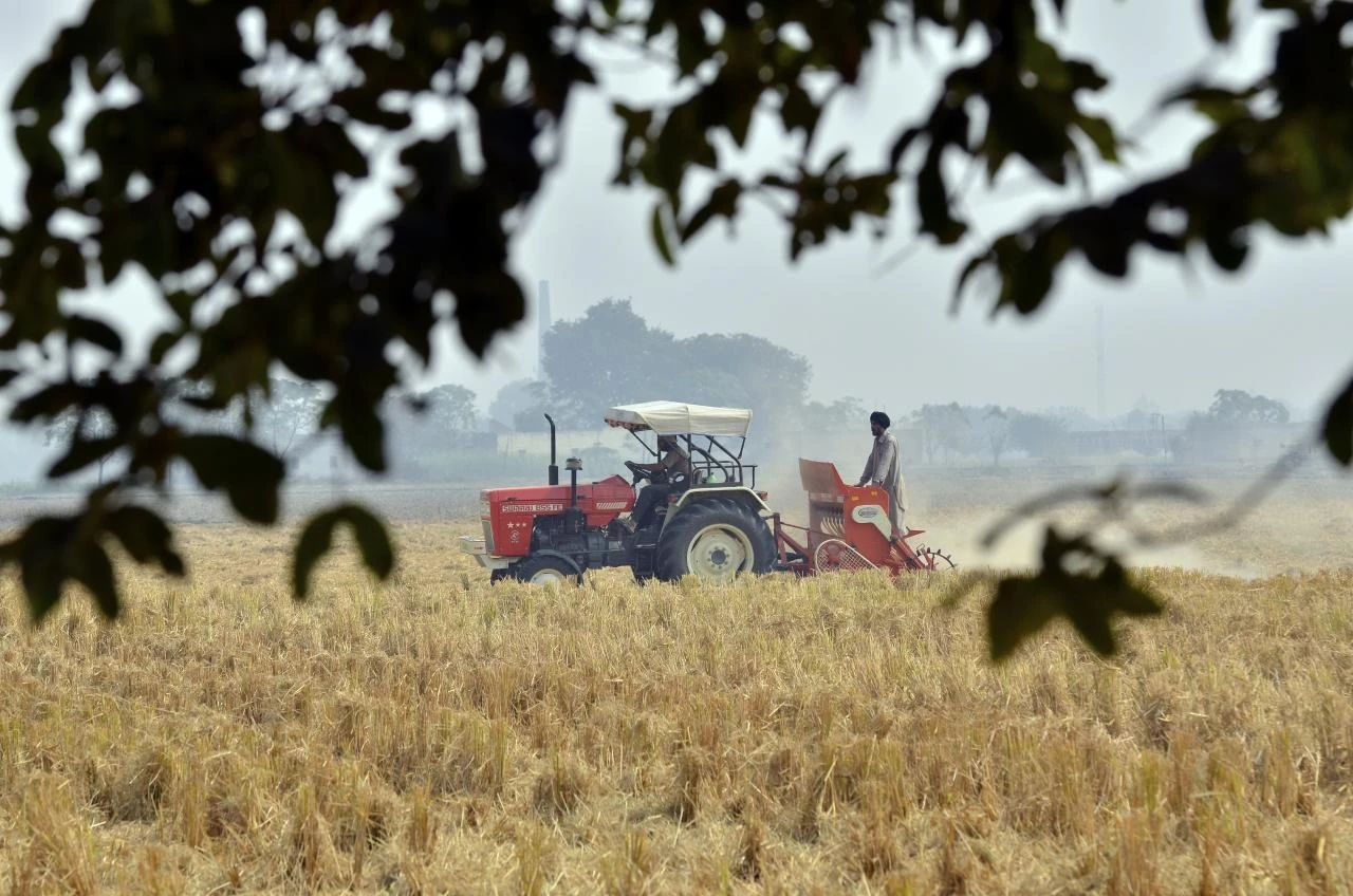 How Large Farms Prevent Grain Bottlenecks During Harvest